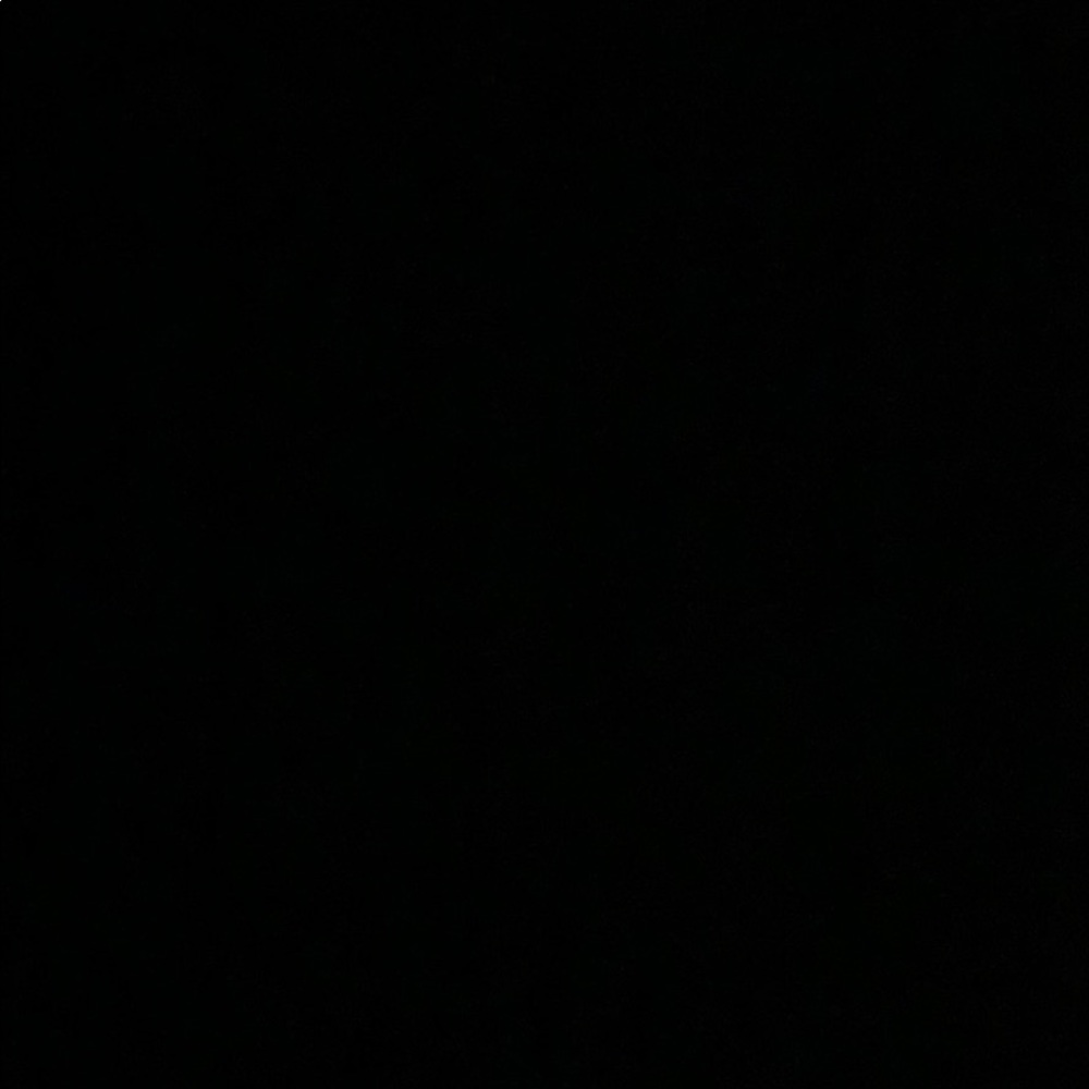 Meet your Posher, Jisela